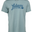 Lagoon Blue Heather